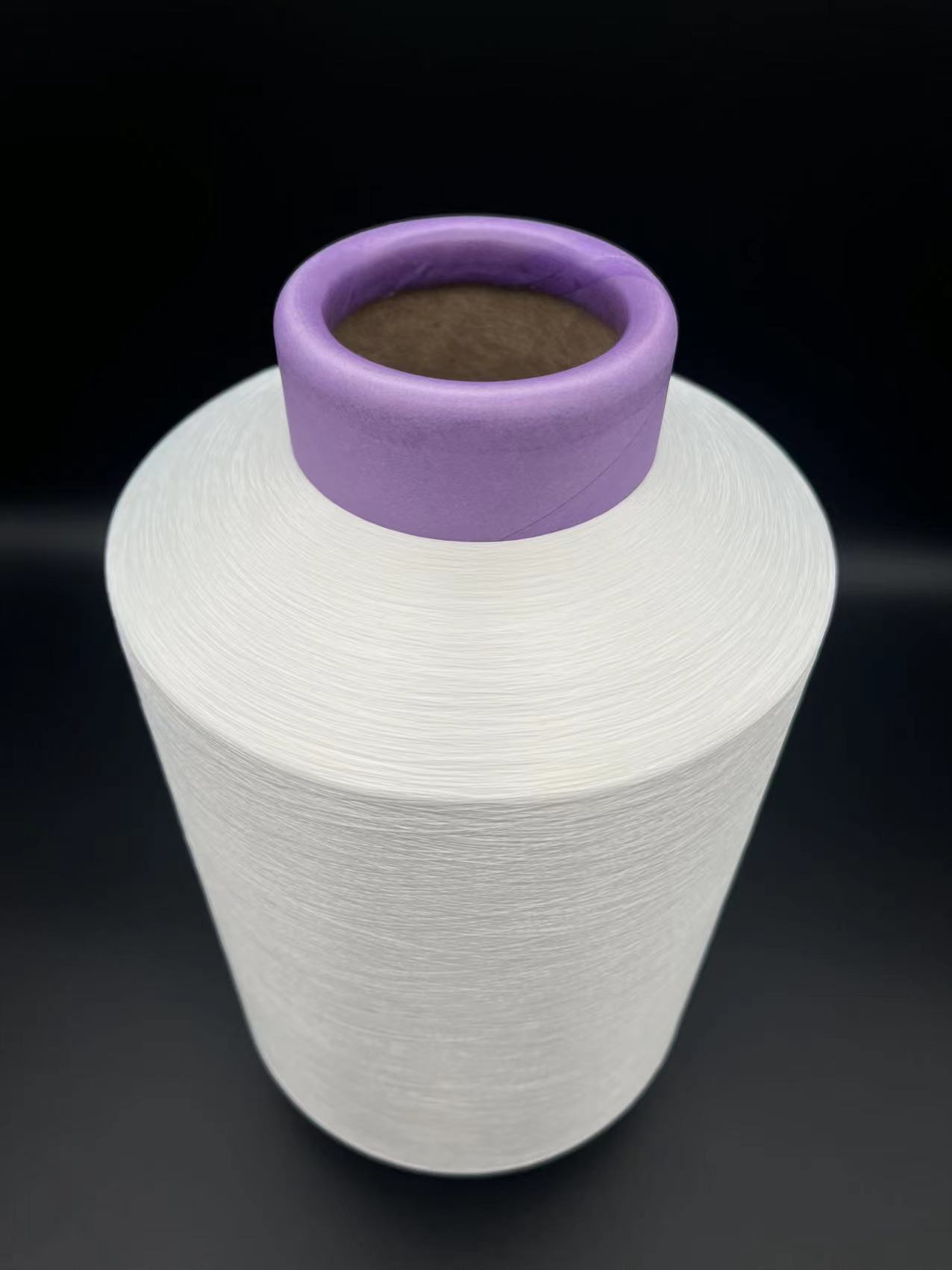 One-step AB Yarn Nylon+polyester Fancy Yarn Composite Yarn