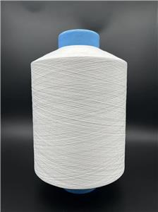 Two-Step Customized AB Yarn Polyester+Nylon Fancy Yarn Composite Yarn