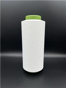 Customized Deodorization Antibacterial Fancy Yarn Composite Yarn