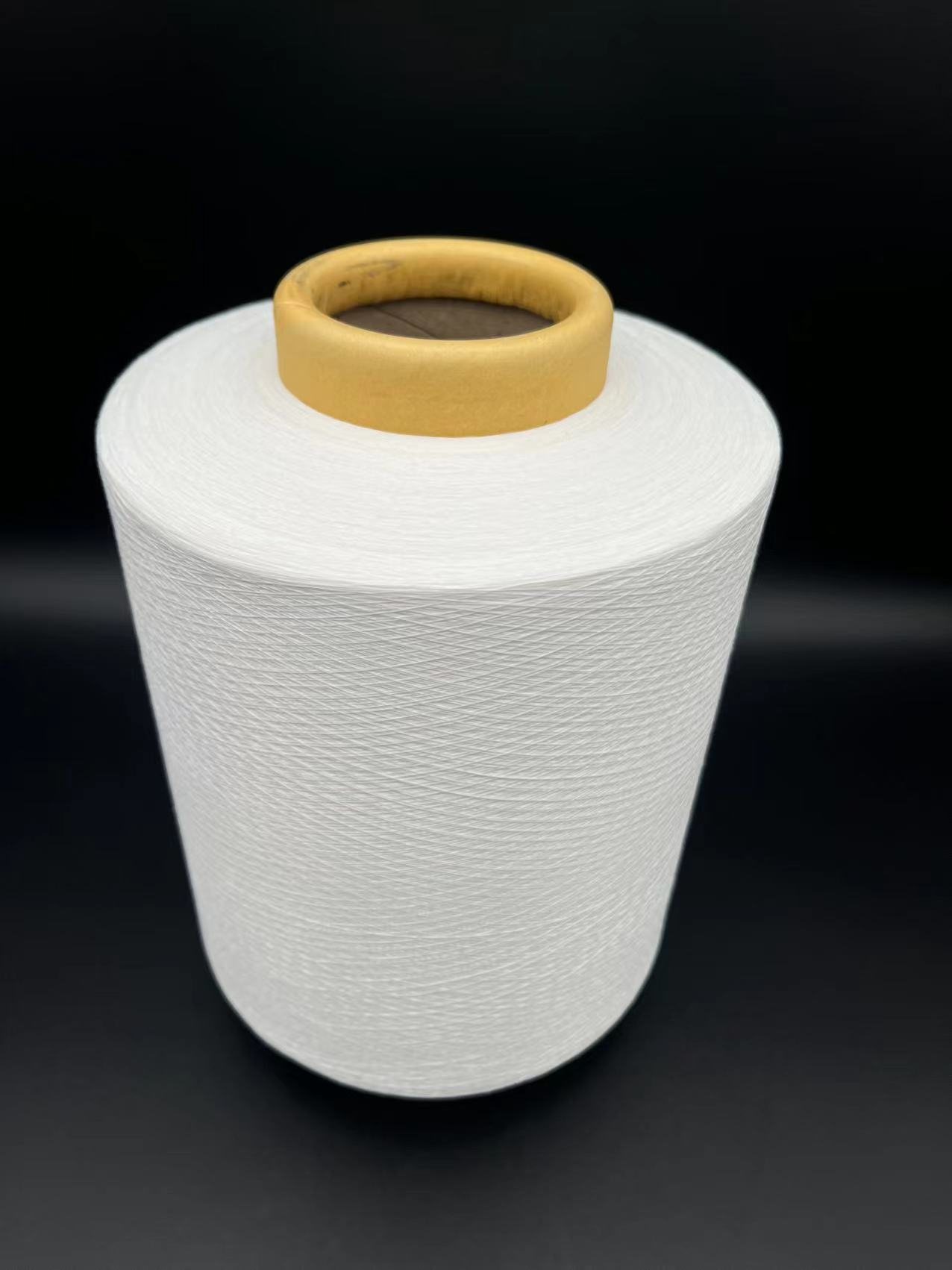 100% Polyamide Nylon ATY