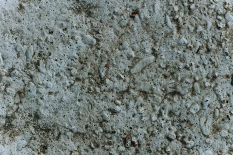 Polycarboxylate monomer TPEG market dynamics: analysis of industry trends and development prospects