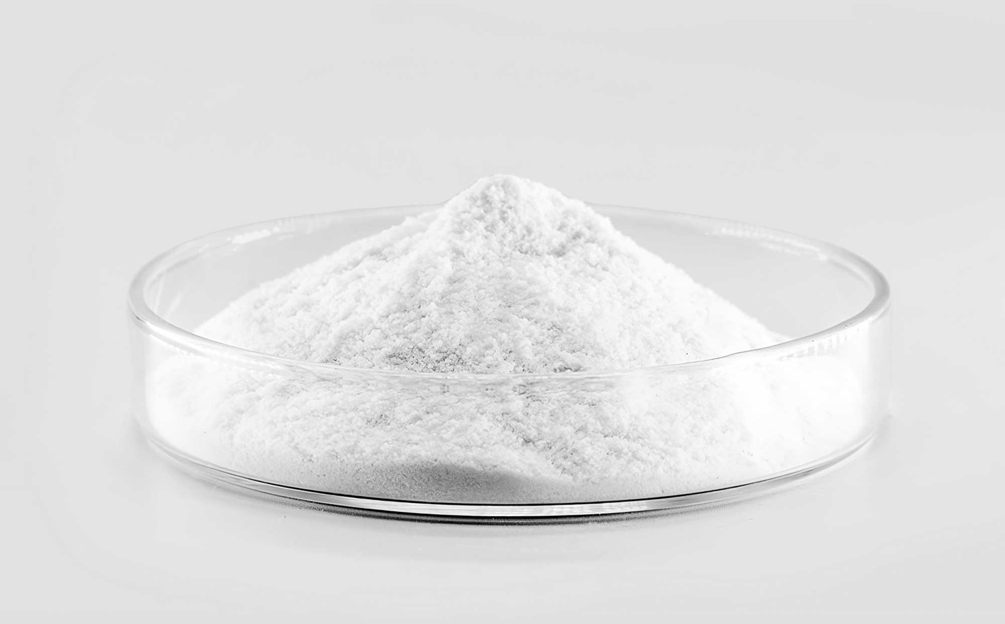 Hydroxypropyl Methylcellulose (HPMC)