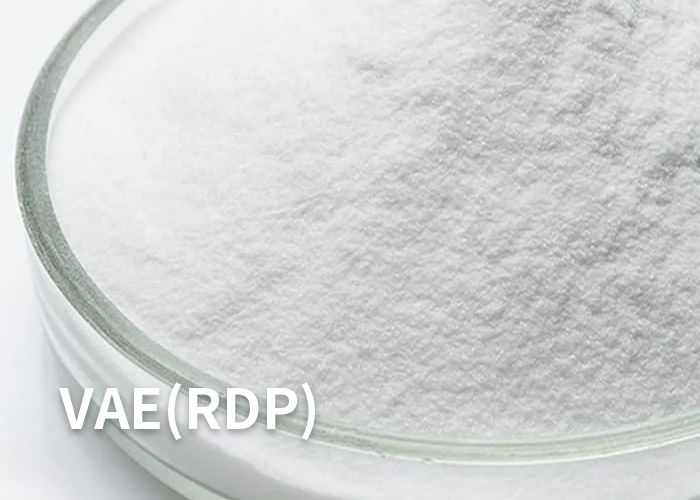 Redispersible Polymer Powder (RDP)