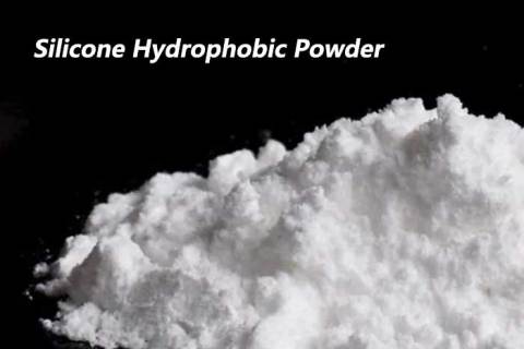 Silicone Hydrophobic Powder: An Innovative Solution for Enhancing the Durability of Building Materials