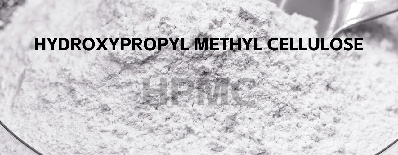 Hydroxypropyl Methyl Cellulose