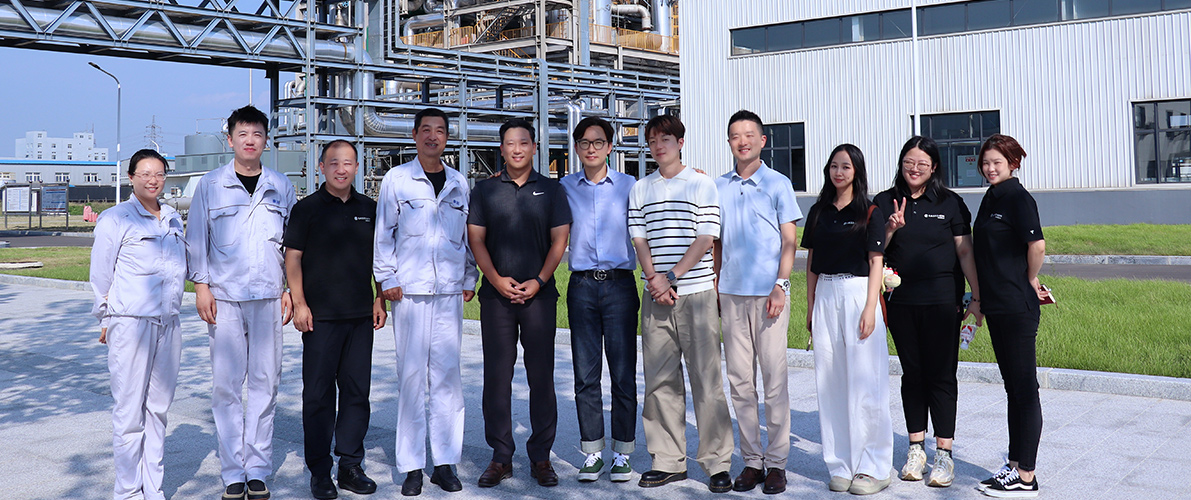 Factory Audit
