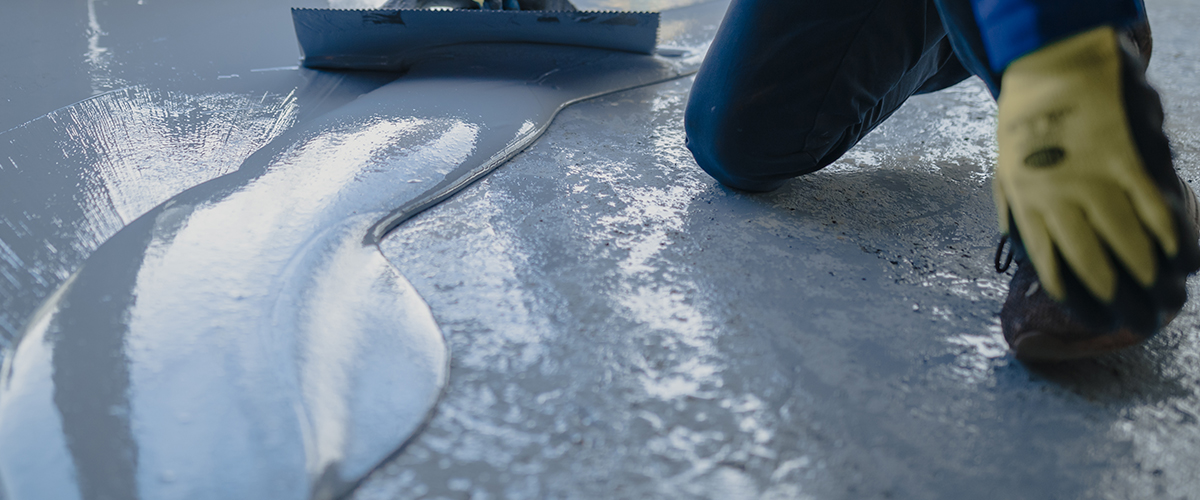 Hydroxypropyl Methyl Cellulose (HPMC)