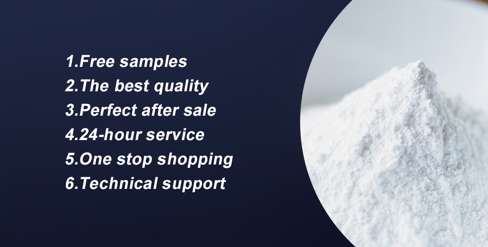 Silicone Hydrophobic Powder(SHP)