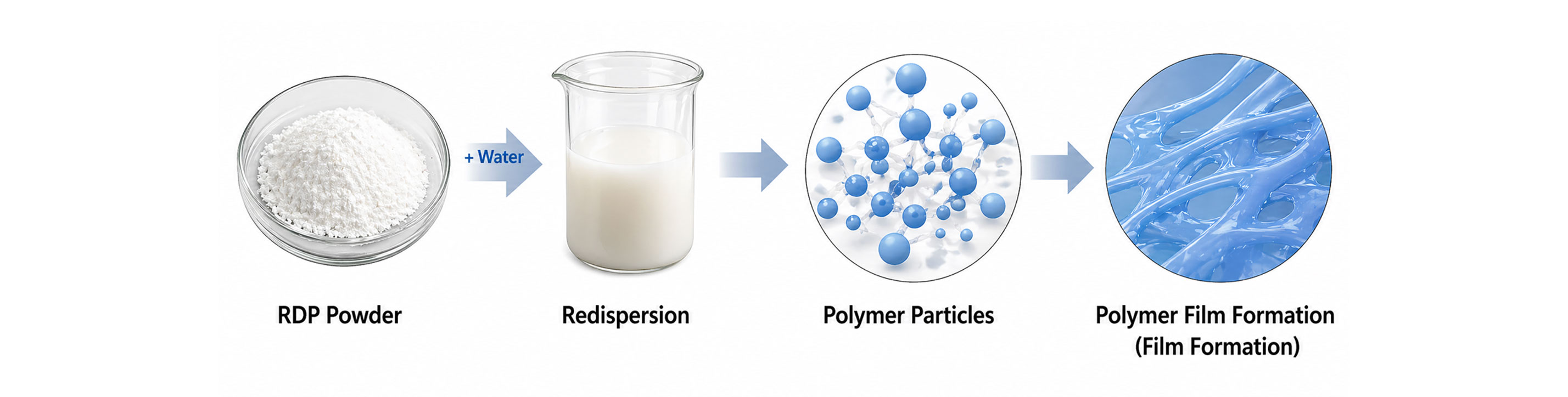 Redispersible Polymer Powder