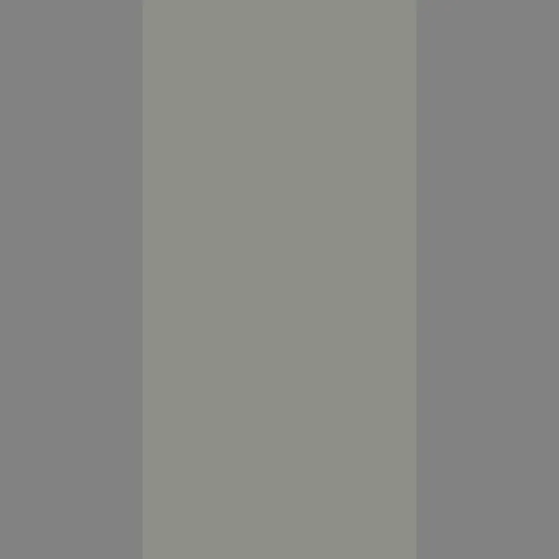 Hoja de plástico decorativa para mascotas de color gris brillante de 0,8 mm