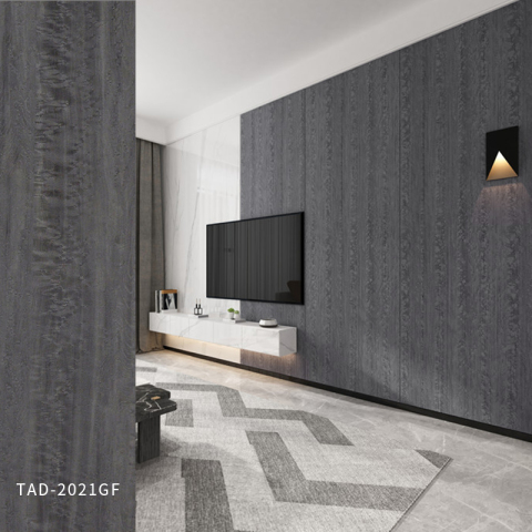 Anti Scratch Matte Hot Anti Yellowing PETG sheet Pet Film