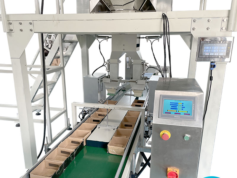 Nails Packaging Machine cartoning machine