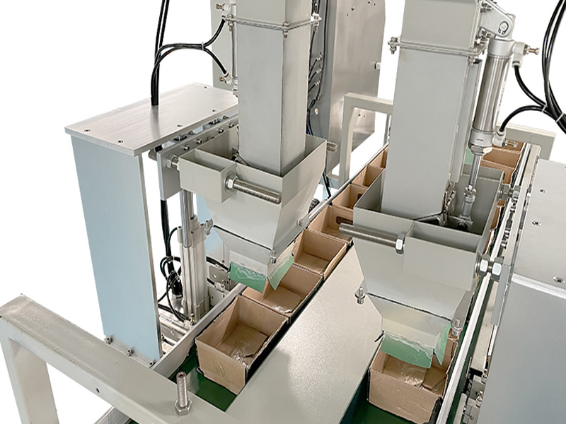 Nails Packaging Machine cartoning machine