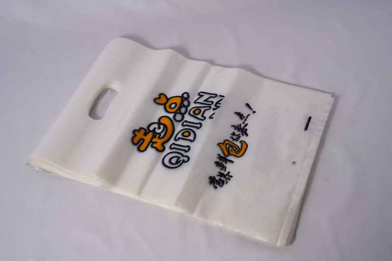 OEM Custom Printed Shopping Garment Packaging Bags