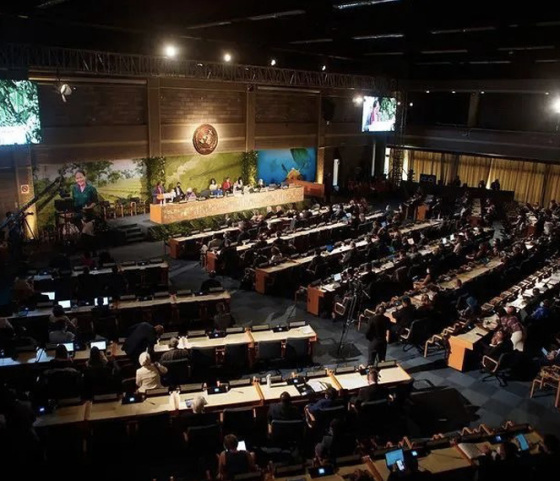 Ending plastic pollution resolution (draft) passed