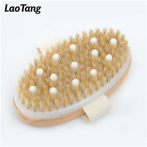 Dry Body Brush With Massage Head