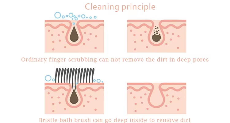 dry brushing for cellulite