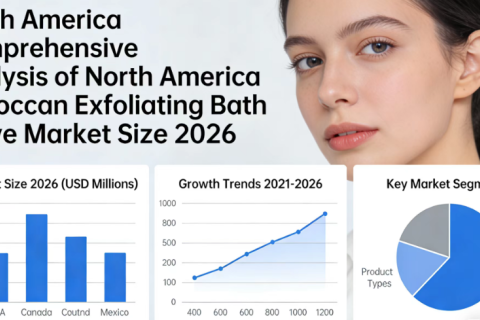 North America Comprehensive Analysis of North America Moroccan Exfoliating Bath Glove Market Size 2026