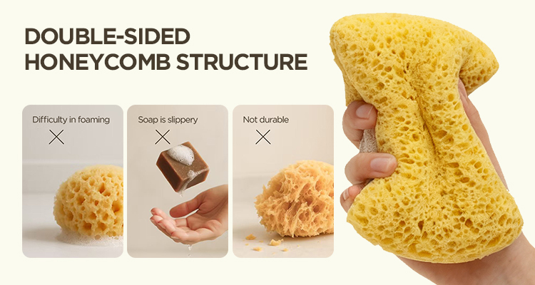 body wash sponge
