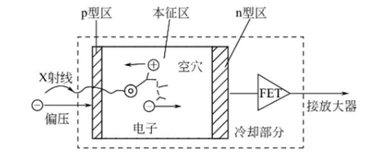 X-ray diffraction