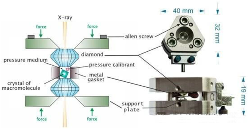 X-ray