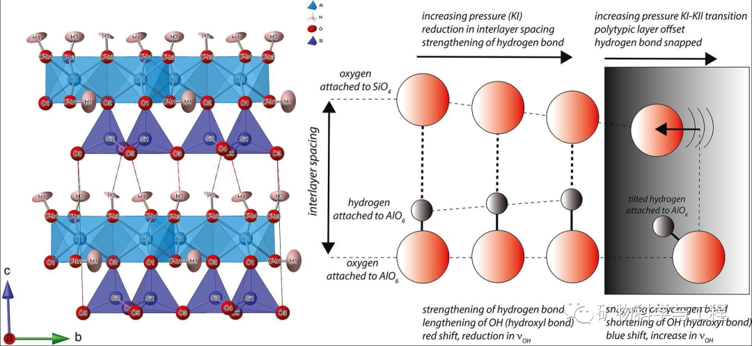 High pressure Raman scattering and X-ray diffraction of Al2Si2O5(OH)4