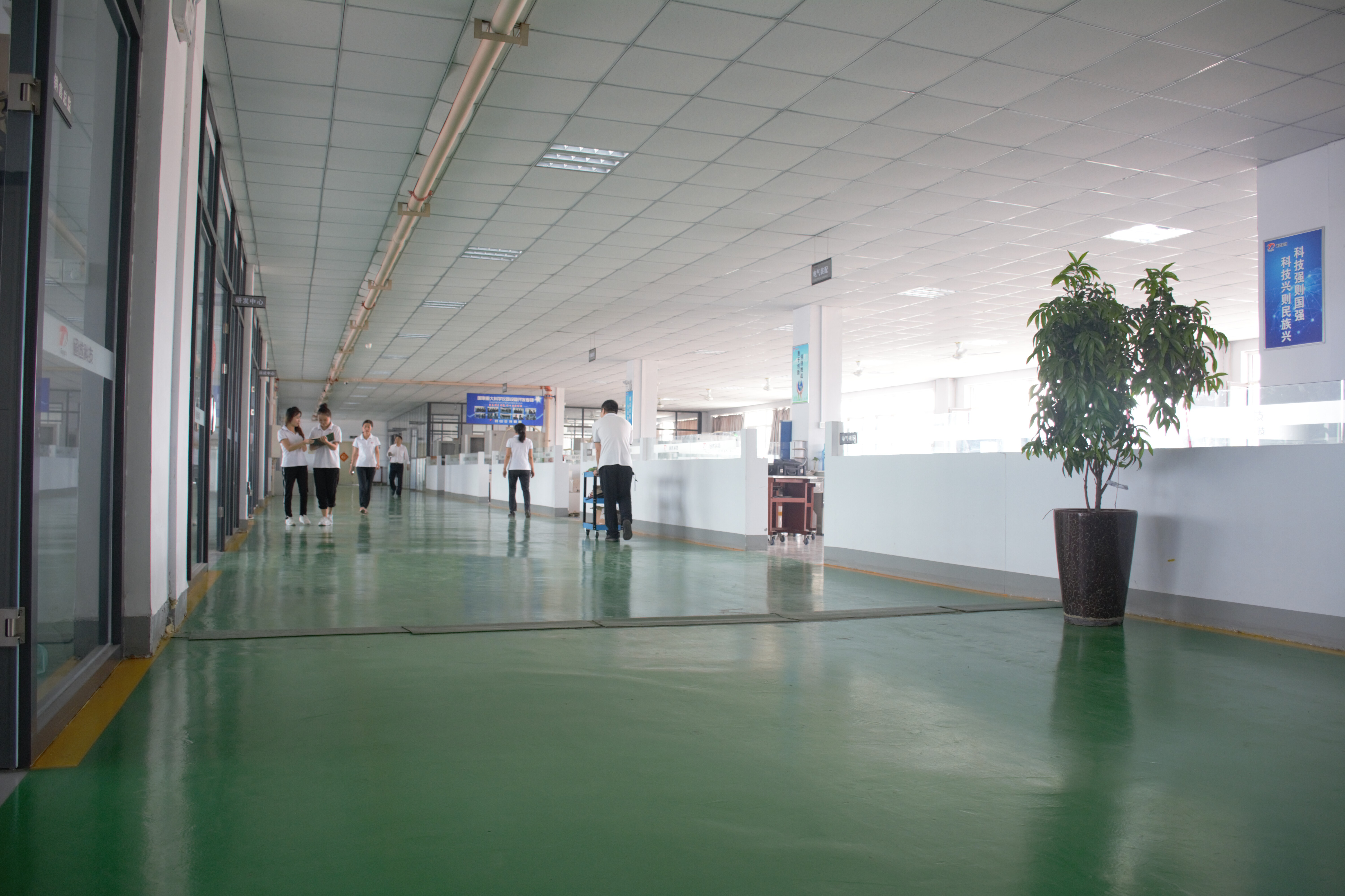 single crystal single crystal