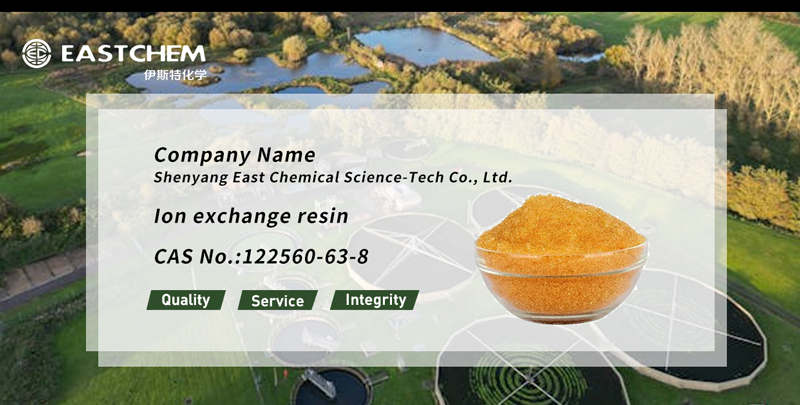 Ion exchange resin