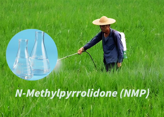 N-Methylpyrrolidone
