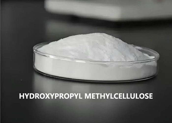 hydroxypropyl methylcellulose