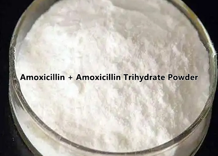 Amoxicillin