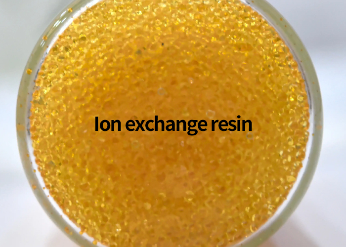 Ion exchange resin