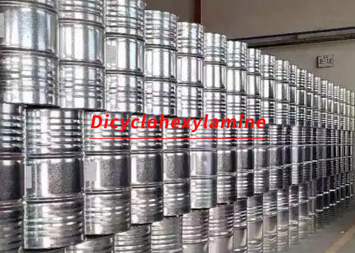 Dicyclohexylamine