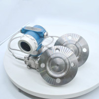 Pemancar Level Flange Ganda Kapiler