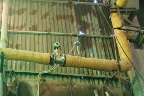 भाप/उच्च तापमान ग्रिप गैस माप के लिए भंवर प्रवाह मीटर