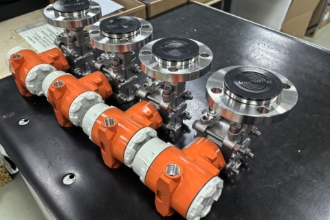 Recent Shipment of Single Flange Level Pressure Transmitters with PTFE Coating