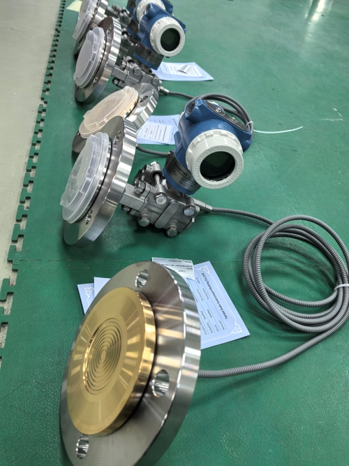 differential pressure transmitter with dual remote seal