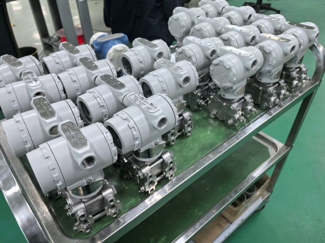 Customized Differential Pressure Transmitters