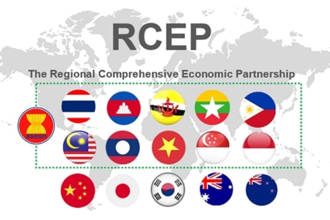 RCEP Empowers Regional Clients with Stronger Trade Benefits