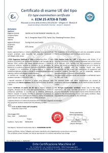 ATEX Tuning Fork Level switch