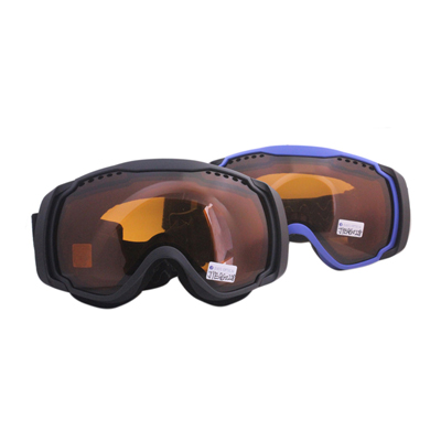 Ski/Snowboard Goggles