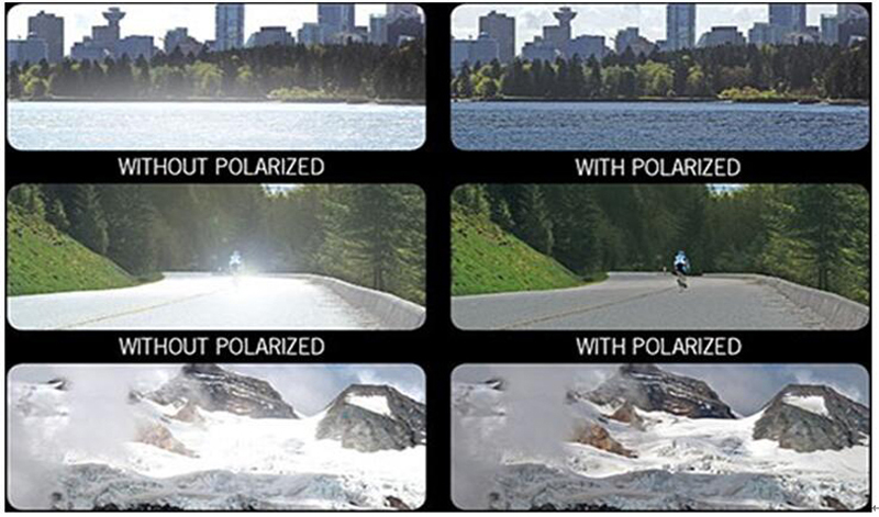 tac polarized lens