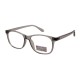 Marco plástico de la lente de las gafas tr90 de los vidrios de lectura de los hombres de las mujeres de la fábrica de China