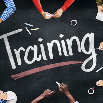 التدريب المهني كاريسونو