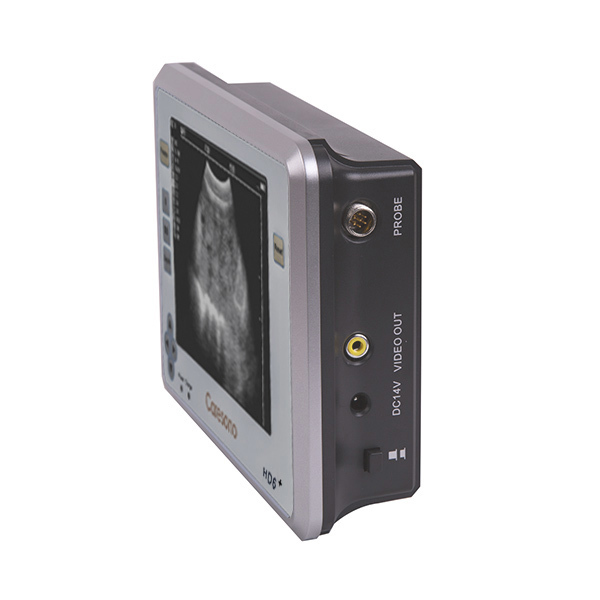 Tragbarer Veterinär-Ultraschallscanner HD6