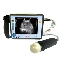 Tragbarer Veterinär-Ultraschallscanner HD6