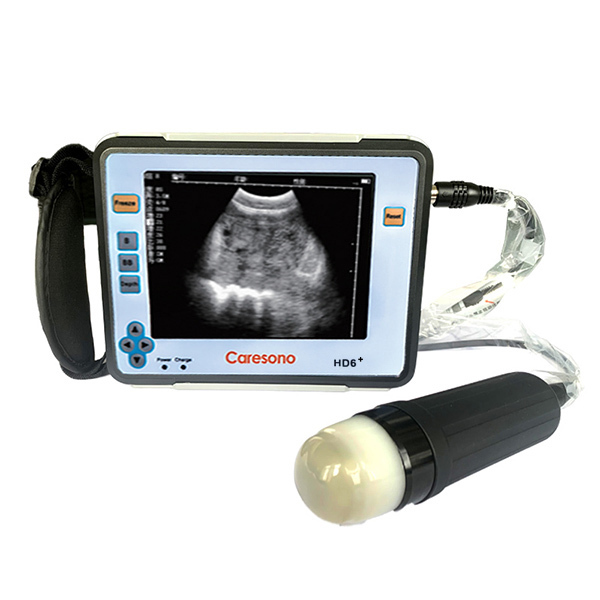 Tragbarer Veterinär-Ultraschallscanner HD6
