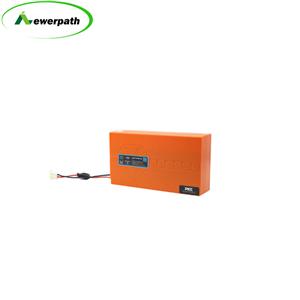 48V 12A Removable Battery Electric Cycle