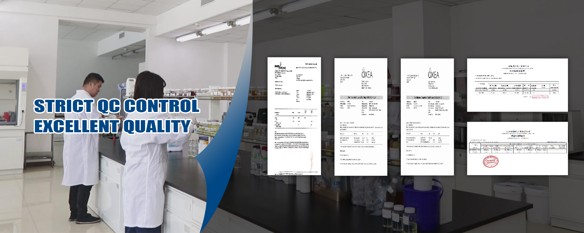 Synthetic Ester Base Oils