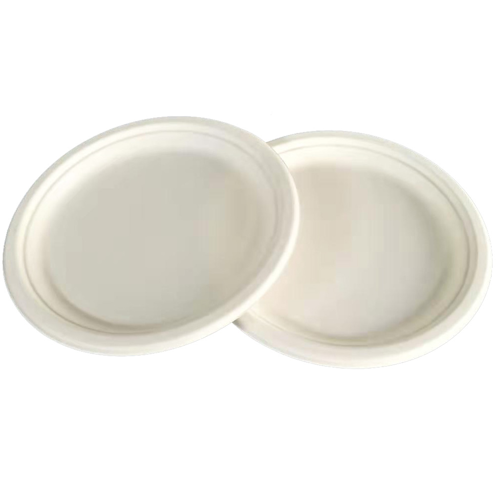 8 Inch Disposable White Bagasse Bamboo Plates Design